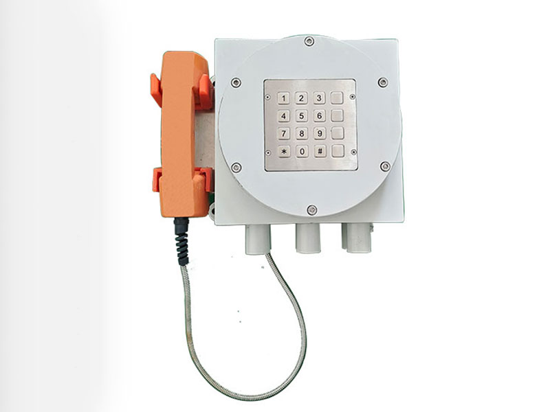 二月二 龍?zhí)ь^，恭祝大家步步高升